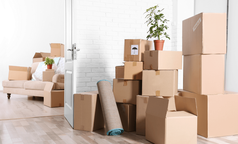 hộp giấy sử dụng để đóng gói