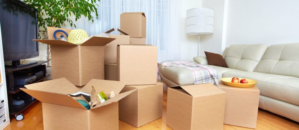 hộp giấy sử dụng nhiều hiện nay