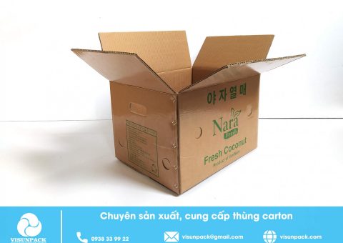 Xu huong in thung carton cho nganh van chuyen hien nay