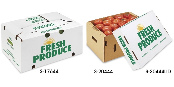 Thùng carton đựng trái cây xuất khẩu ngày càng trở nên cần thiết