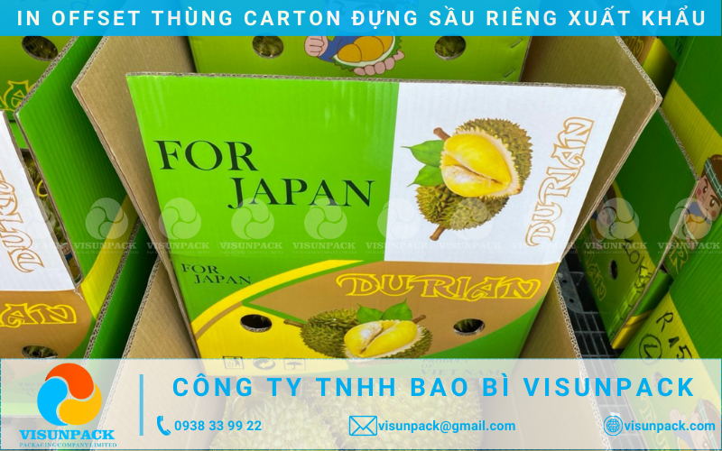 in offset thùng carton đựng sầu riêng