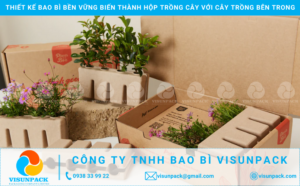 bao bì giấy làm chậu trồng cây