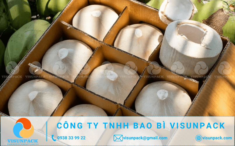 thung carton đựng dừa xuất khẩu giá rẻ tphcm