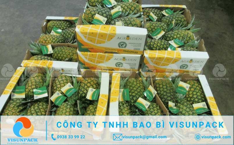 thùng đựng dứa xuất khẩu giá rẻ tphcm