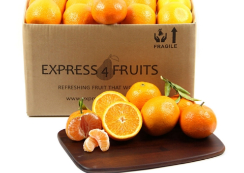 orange fruit packaging box