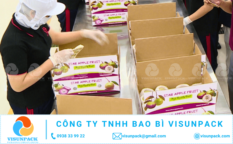 mua thùng carton đựng vú sữa xuất khẩu giá rẻ ở đâu gần tôi