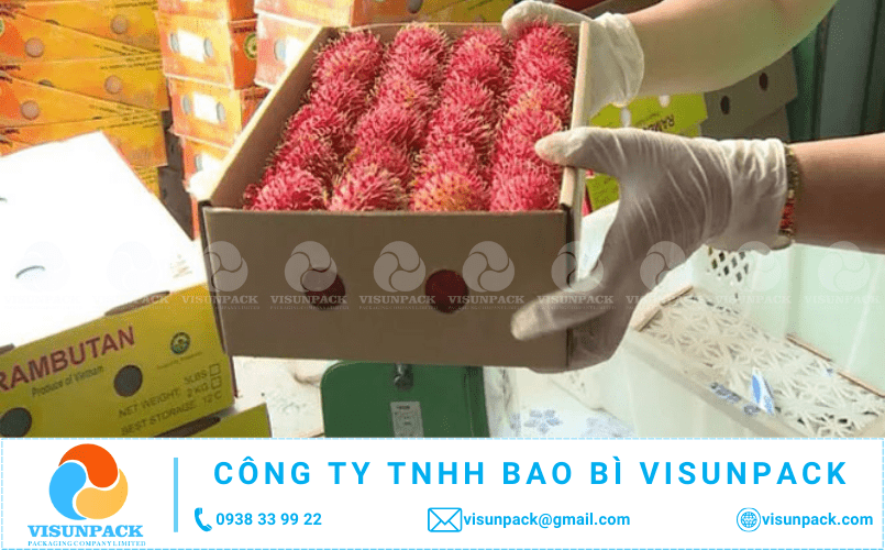 mua thùng carton đựng chôm chôm giá rẻ ở đâu gần tôi