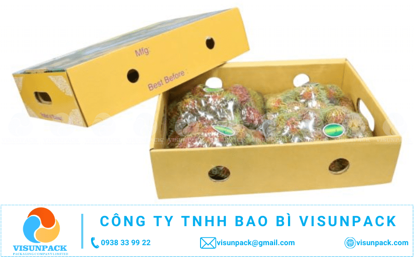 mua thùng carton đựng chôm chôm giá rẻ ở đâu gần tôi