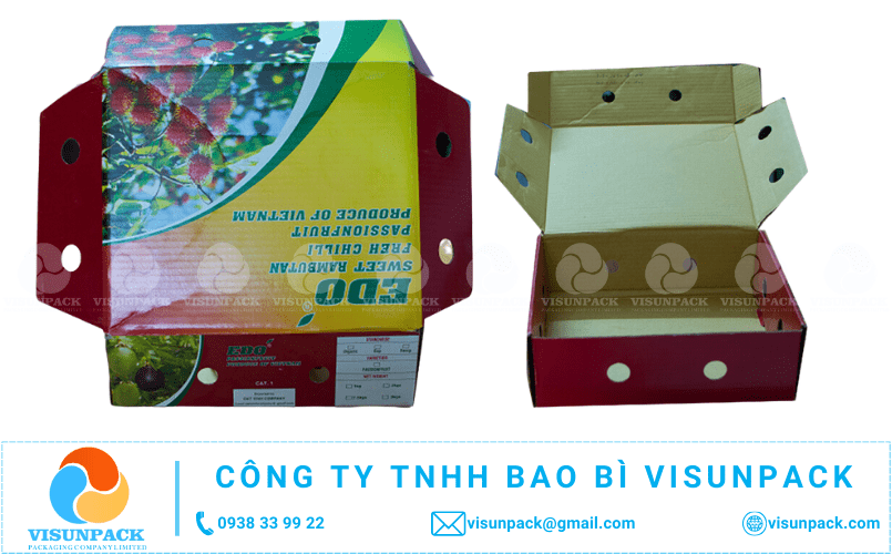 mua thùng carton đựng chôm chôm giá rẻ ở đâu gần tôi