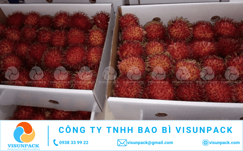 mua thùng carton đựng chôm chôm giá rẻ ở đâu gần tôi