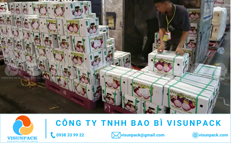 mua thùng carton đựng măng cụt giá rẻ ở đâu gần tôi