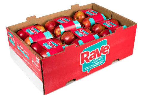 apple packaging box design for fruit export cheapest in vietnam